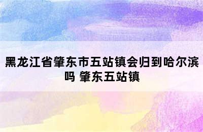 黑龙江省肇东市五站镇会归到哈尔滨吗 肇东五站镇